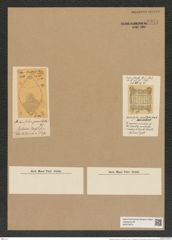 Biddulphia punctata Grev. (de-Toni-Nr.: Genus 123, Species 3477) Zeichnungen Sammlung Grunow Nr. 6974 (NHMW-BOT-W0375873)